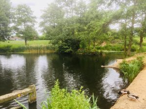 Woodford Park lake Woodley 