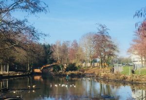 Woodford Park lake improvements February 2019