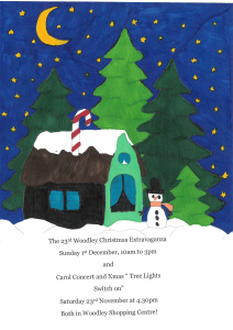 Christmas poster winner woodley town centre 2019