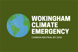 wokingham borough council climate emergency
