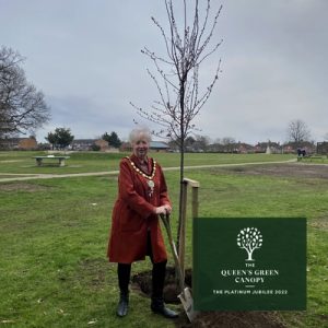 Mayor plants tree for Queens platinum jubilee